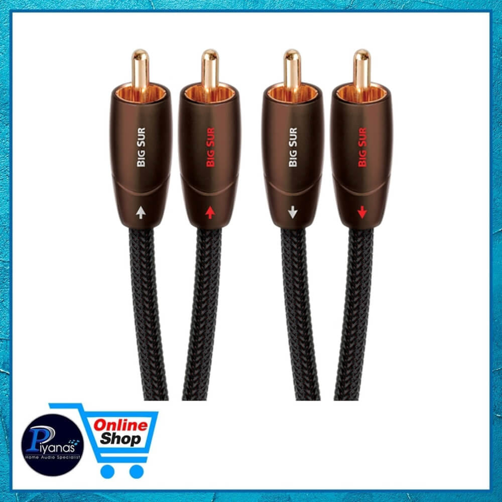 สายสัญญาณอนาล็อก AUDIOQUEST : BIG SUR (RCA TO RCA) (2.0M)